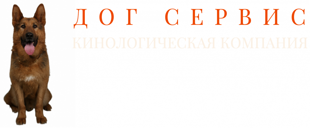 Догсервис, Кинологическая компания